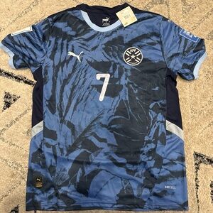 Puma Paraguay national team soccer jersey, 2024-2025 away Size Large